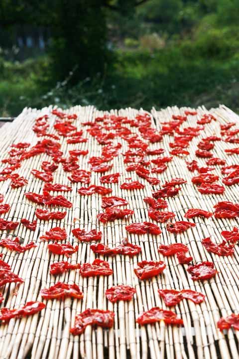 Oliwa i Suszone Pomidory: Chroni Kolor Suszonych Pomidorów